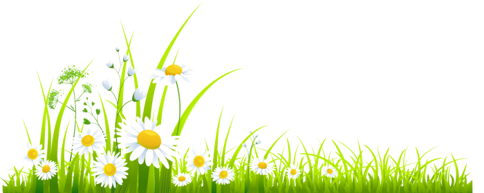 Spring-Download-PNG